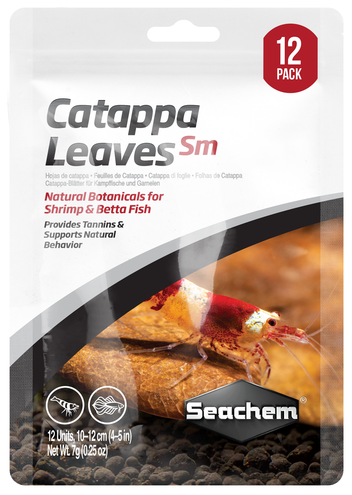 catappa leaves