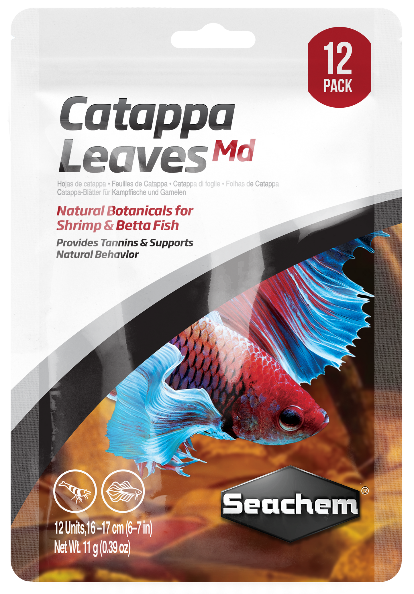 catappa leaves