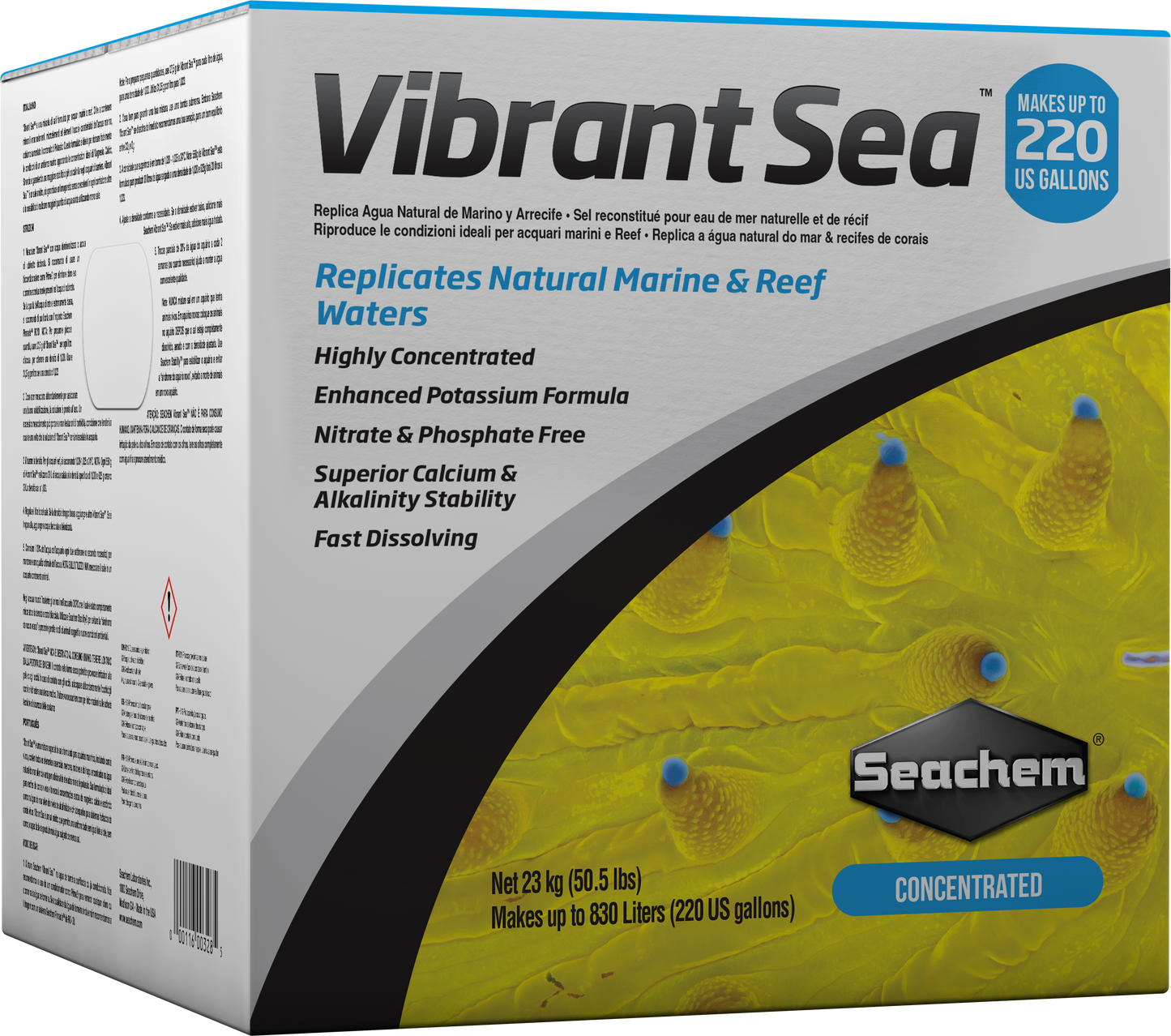 Vibrant Sea salt