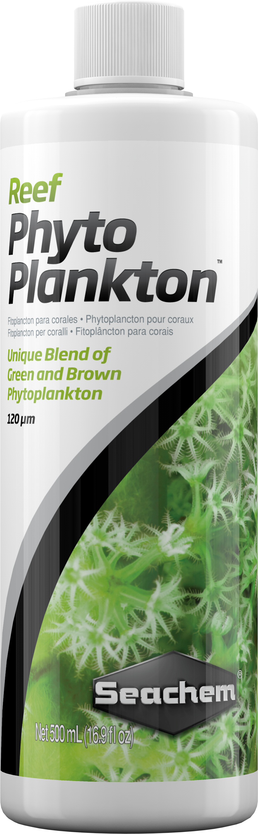 Reef Phytoplankton