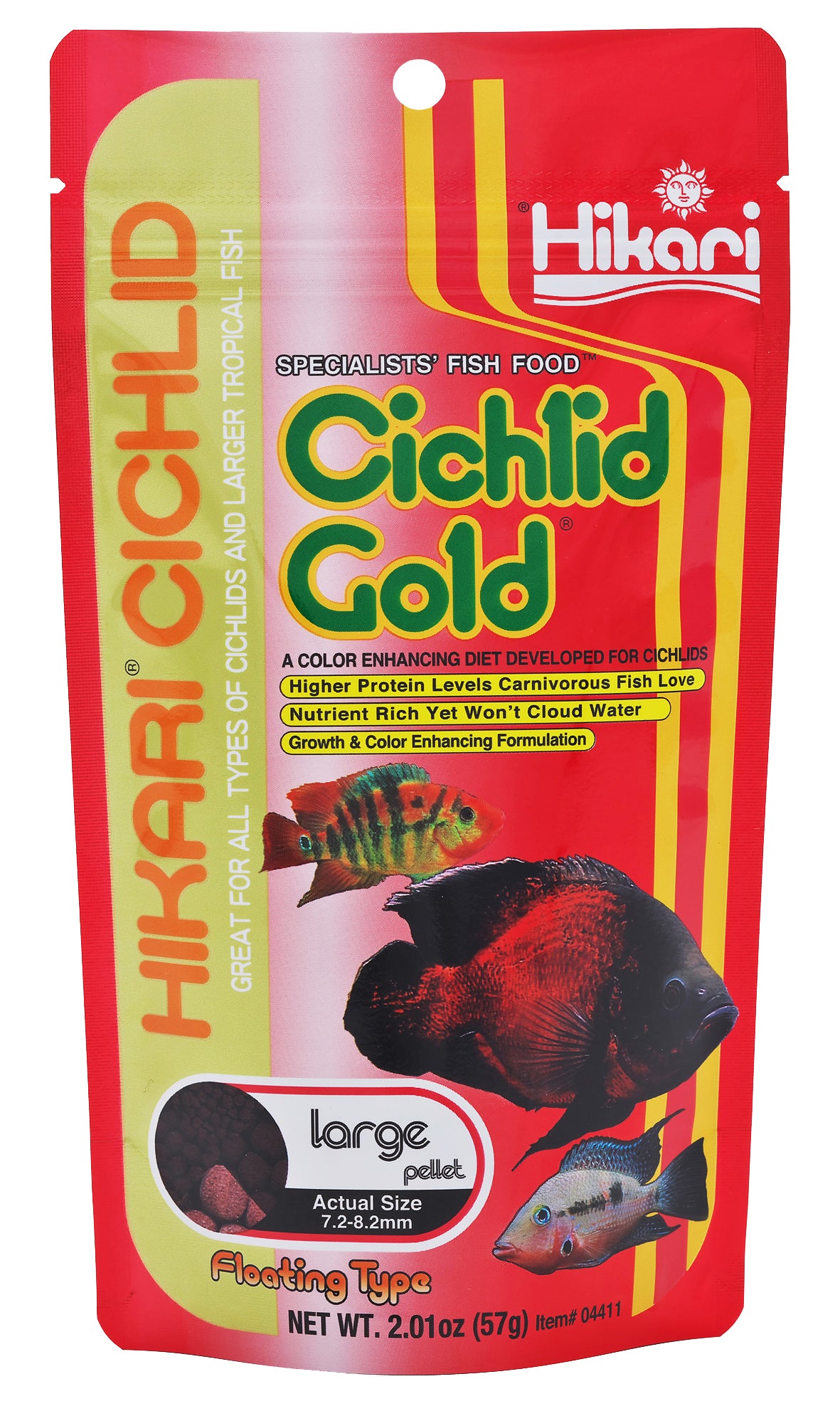 cichlid gold