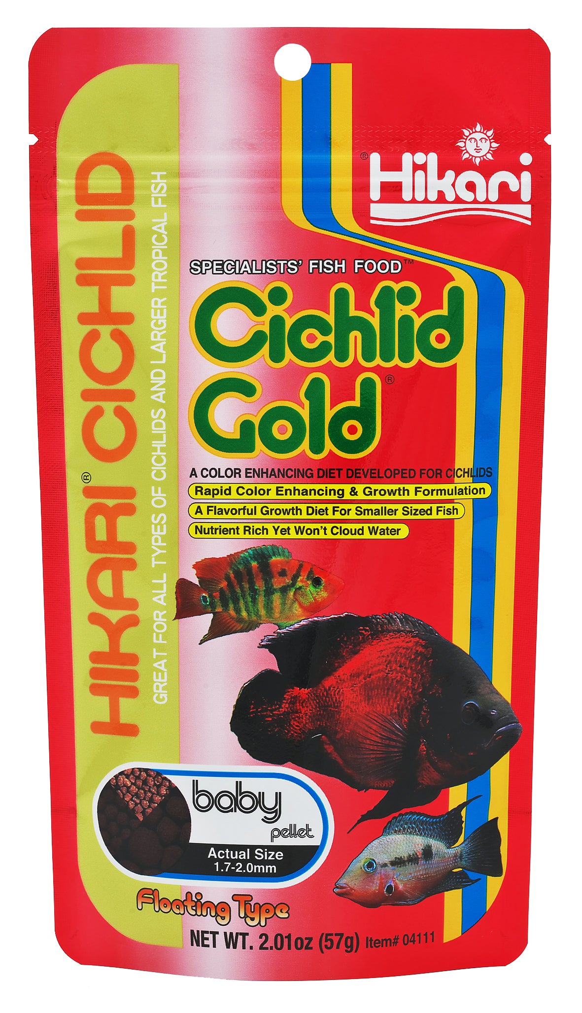 cichlid gold
