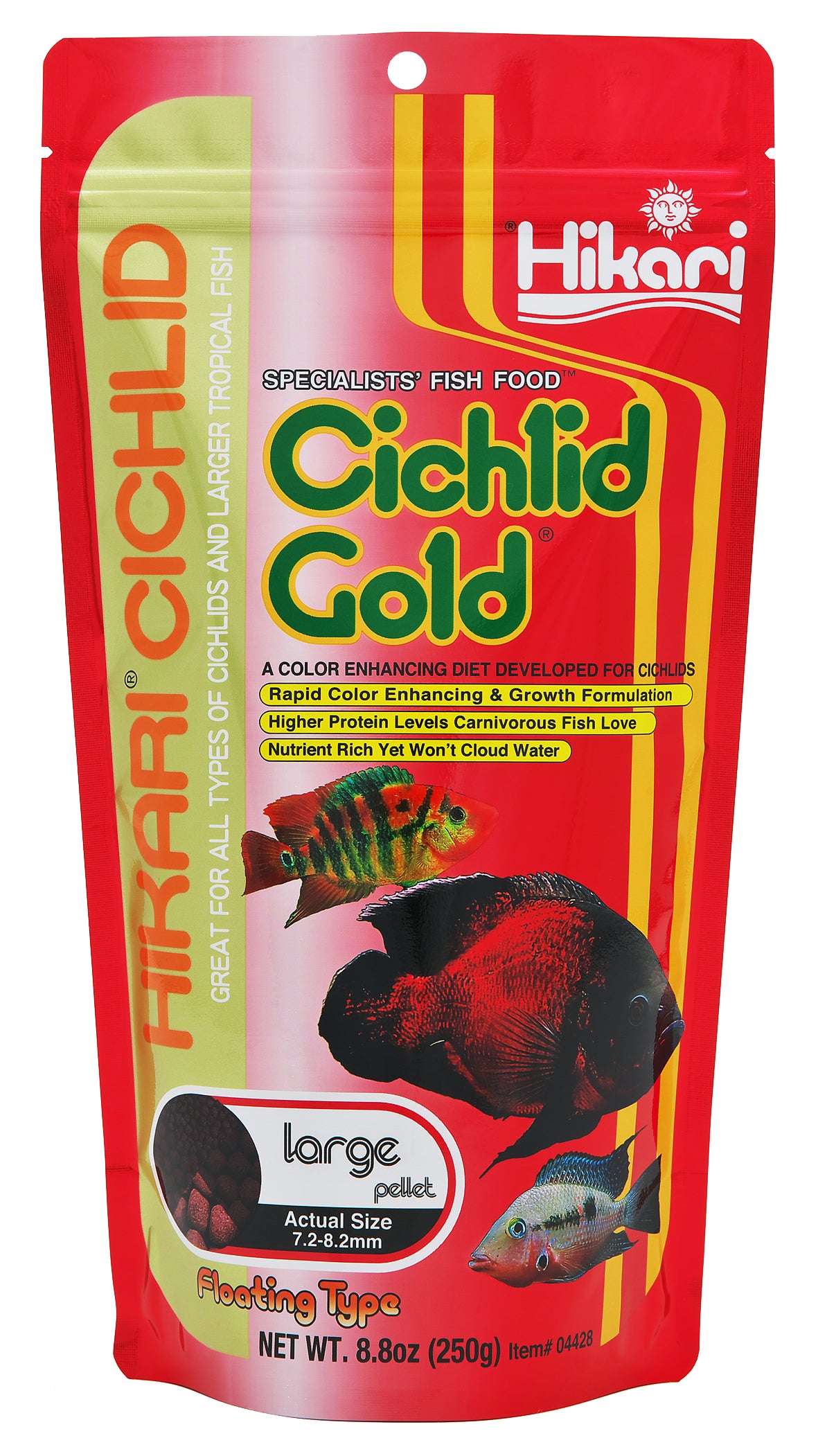 cichlid gold