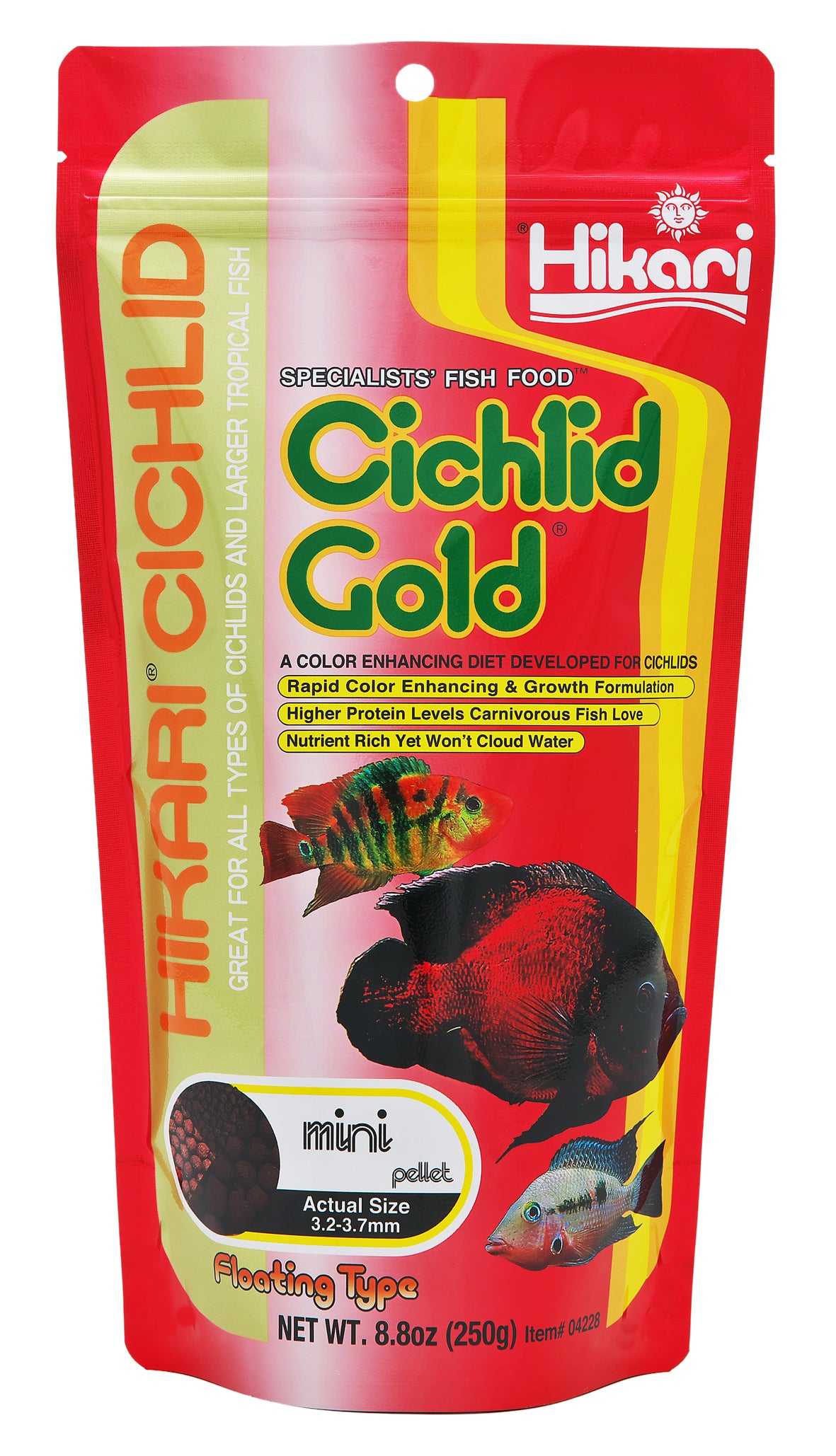 cichlid gold