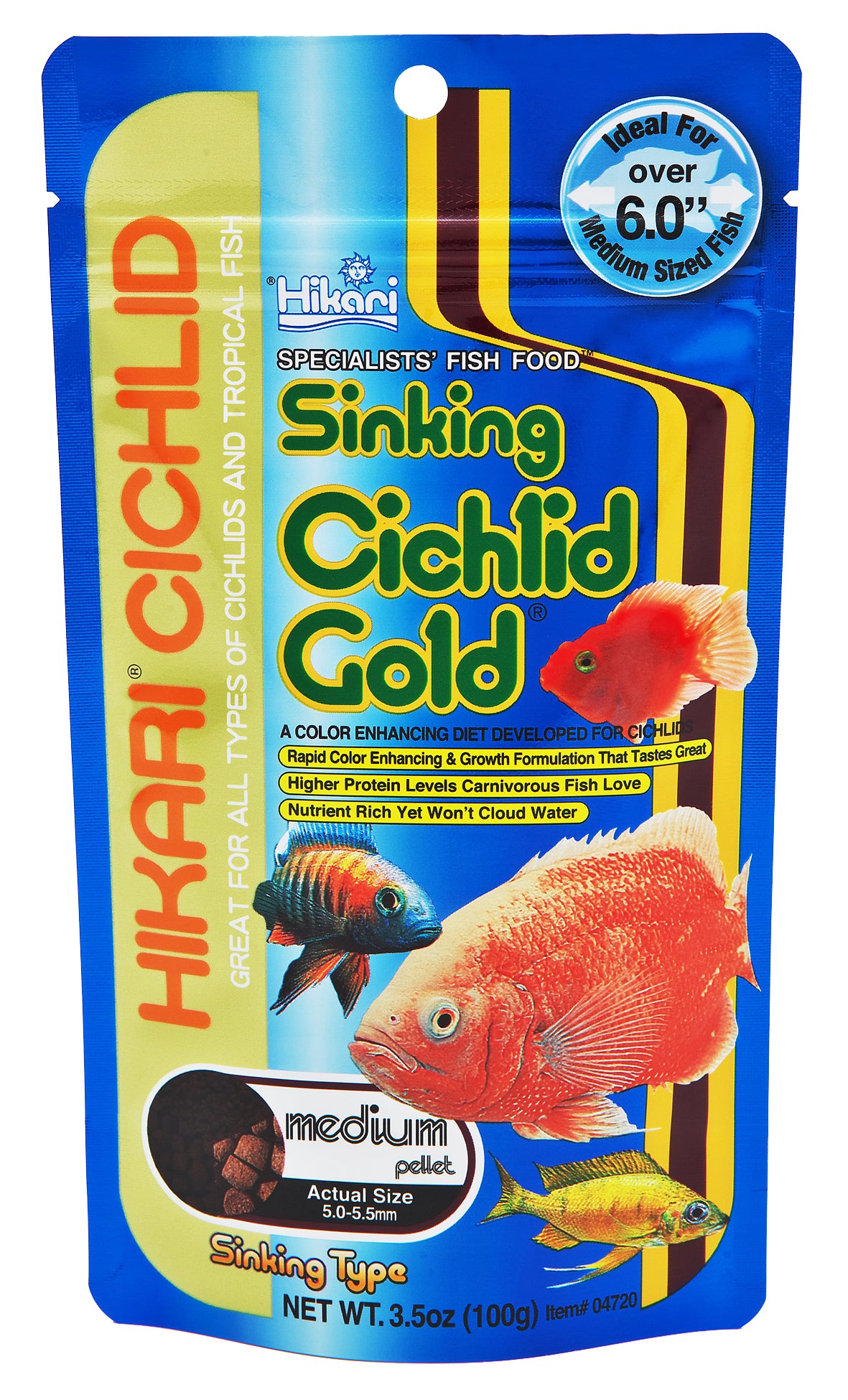 cichlid gold
