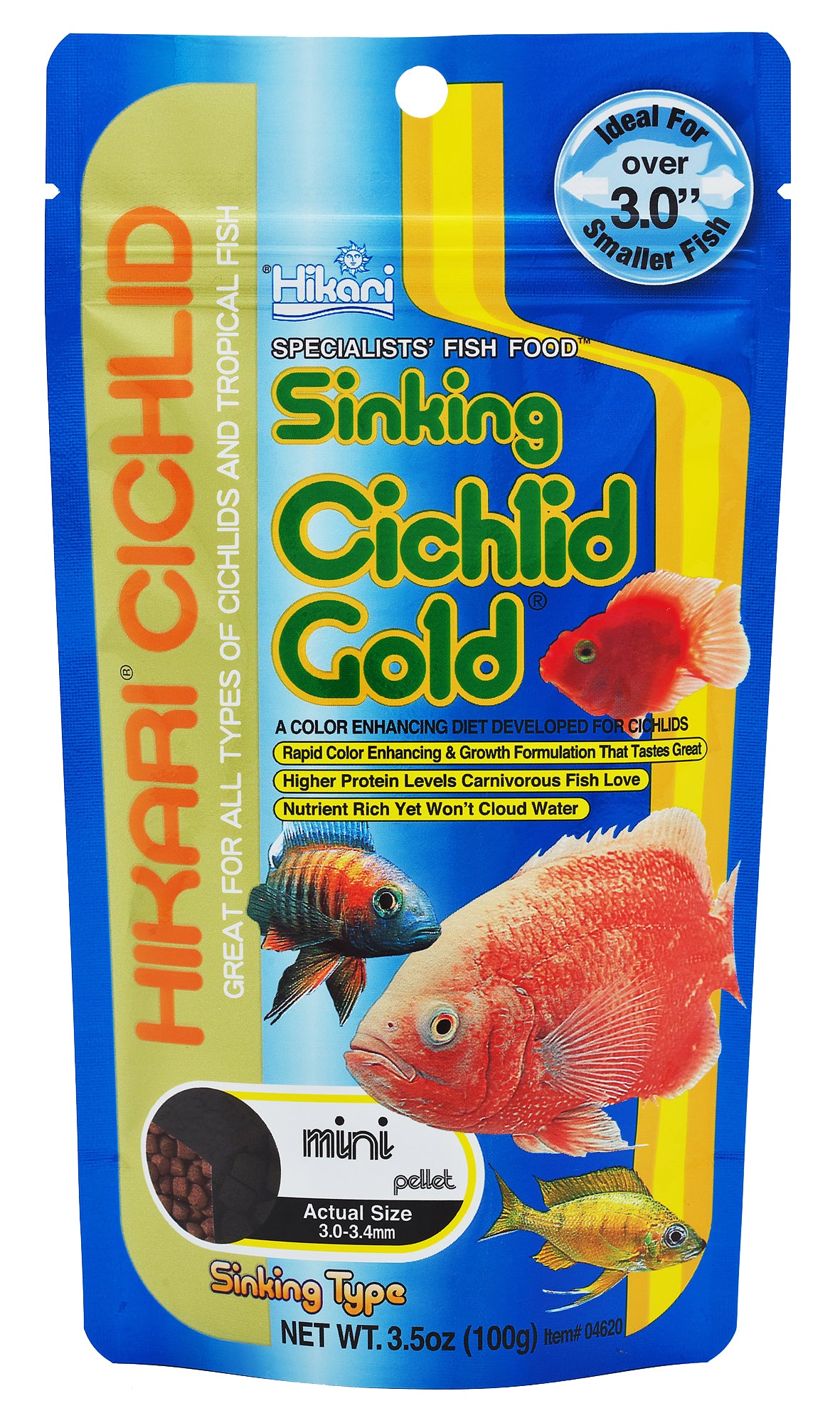 cichlid gold