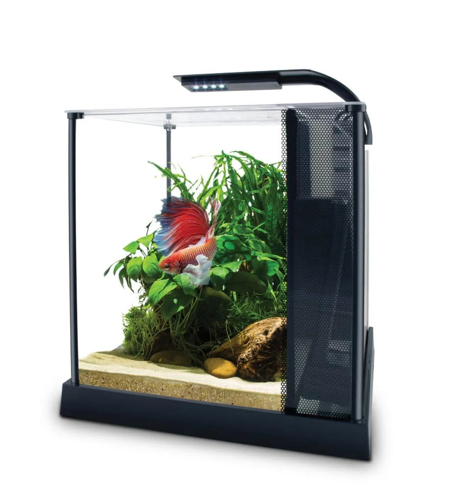 Betta Premium Aquarium Kit, 2.6 US Gal / 10 L