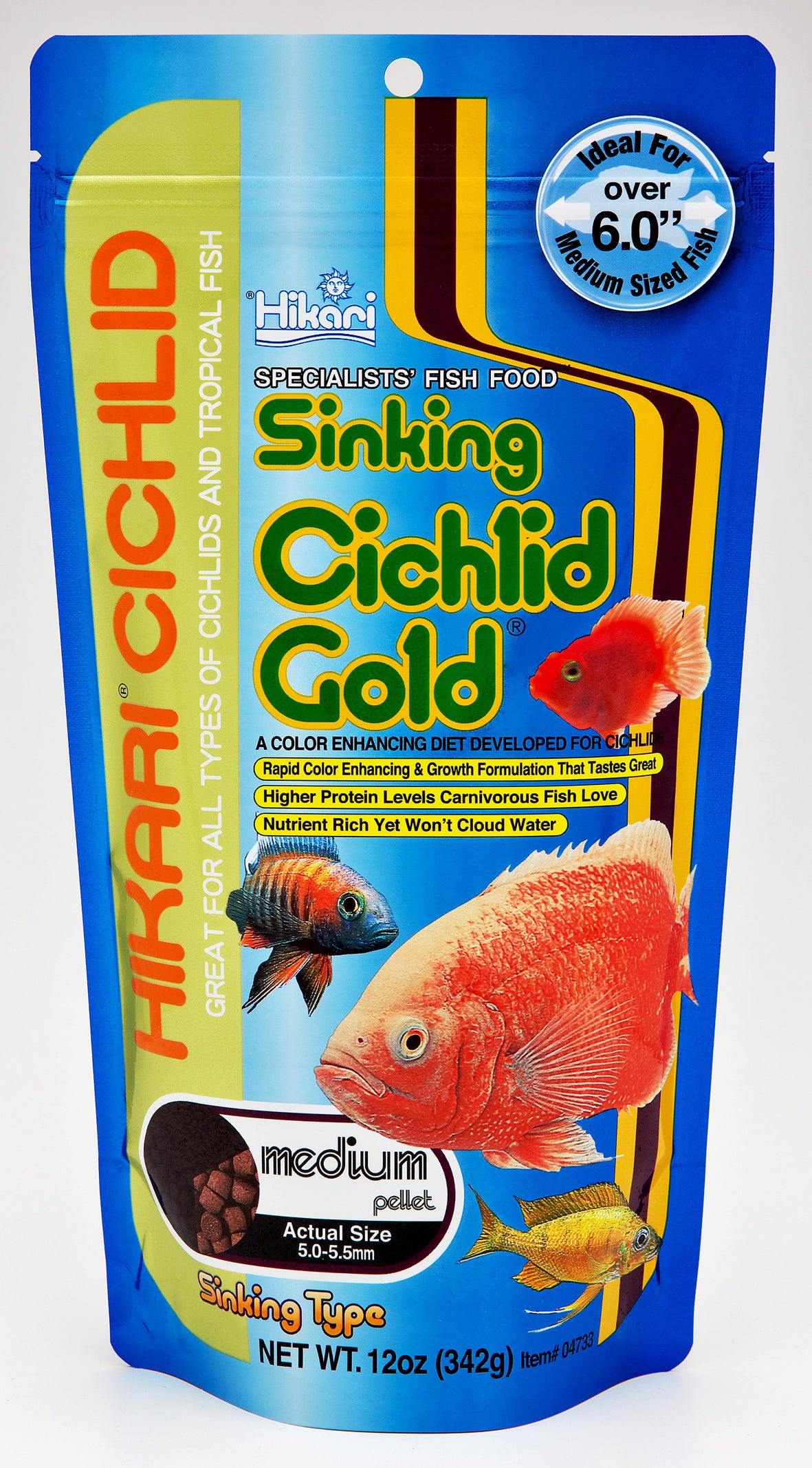 cichlid gold