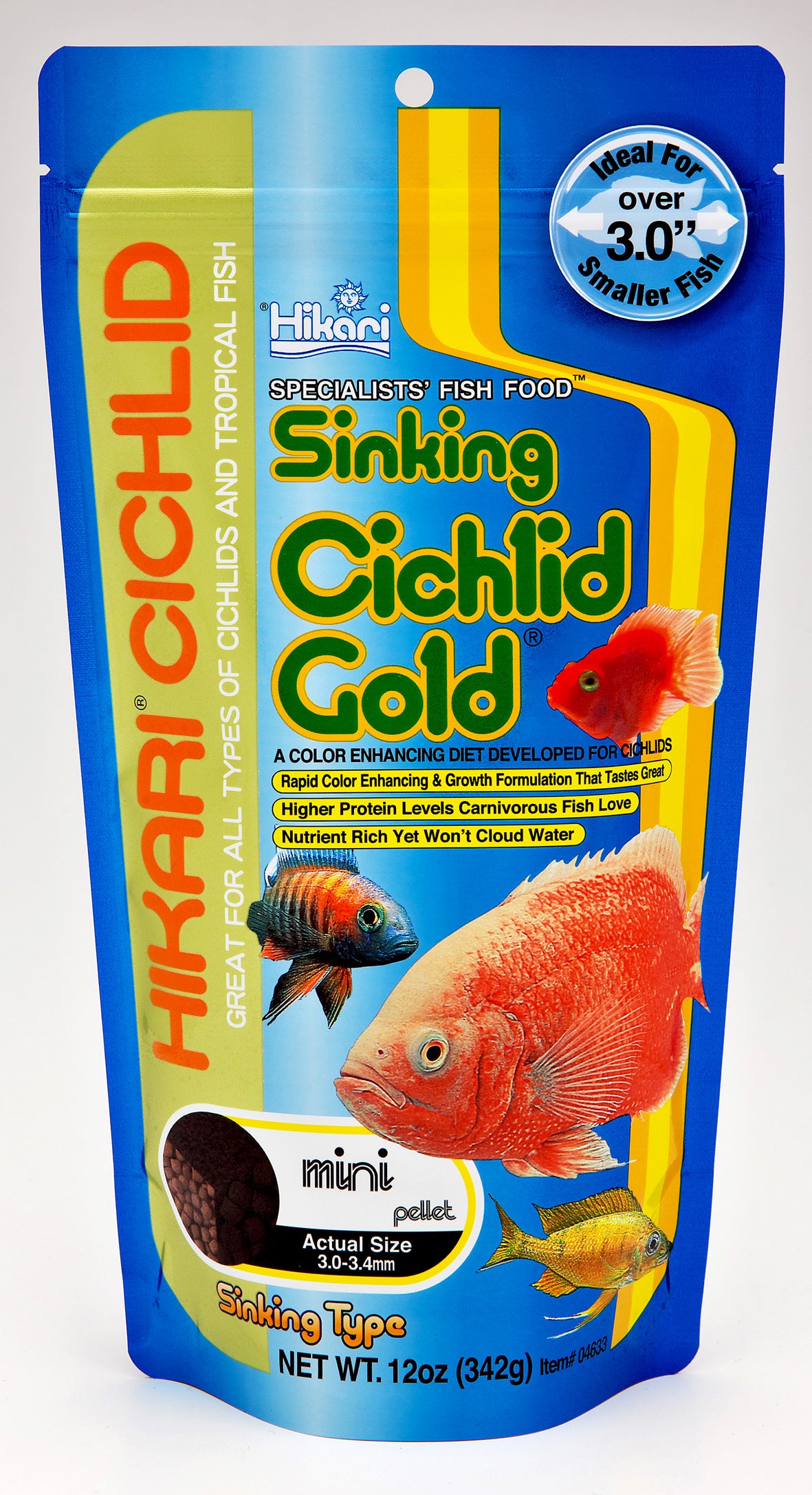 cichlid gold
