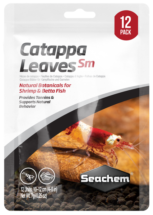 catappa leaves