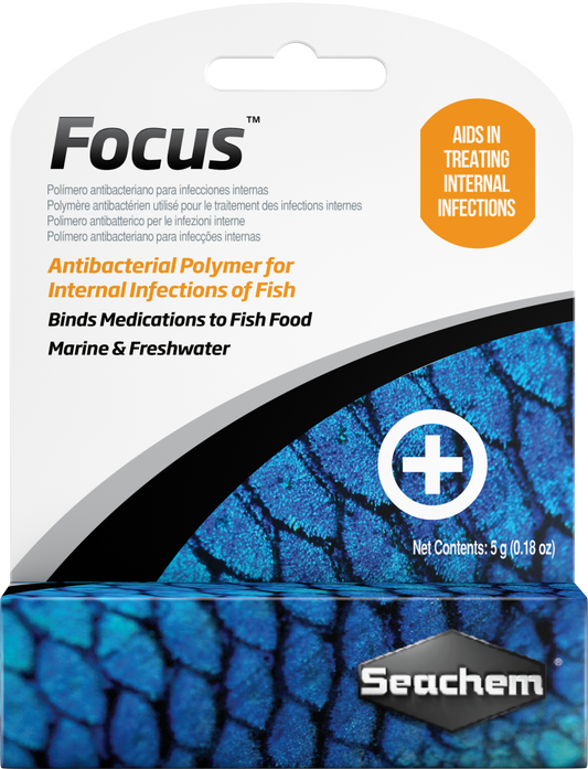Focus 5g