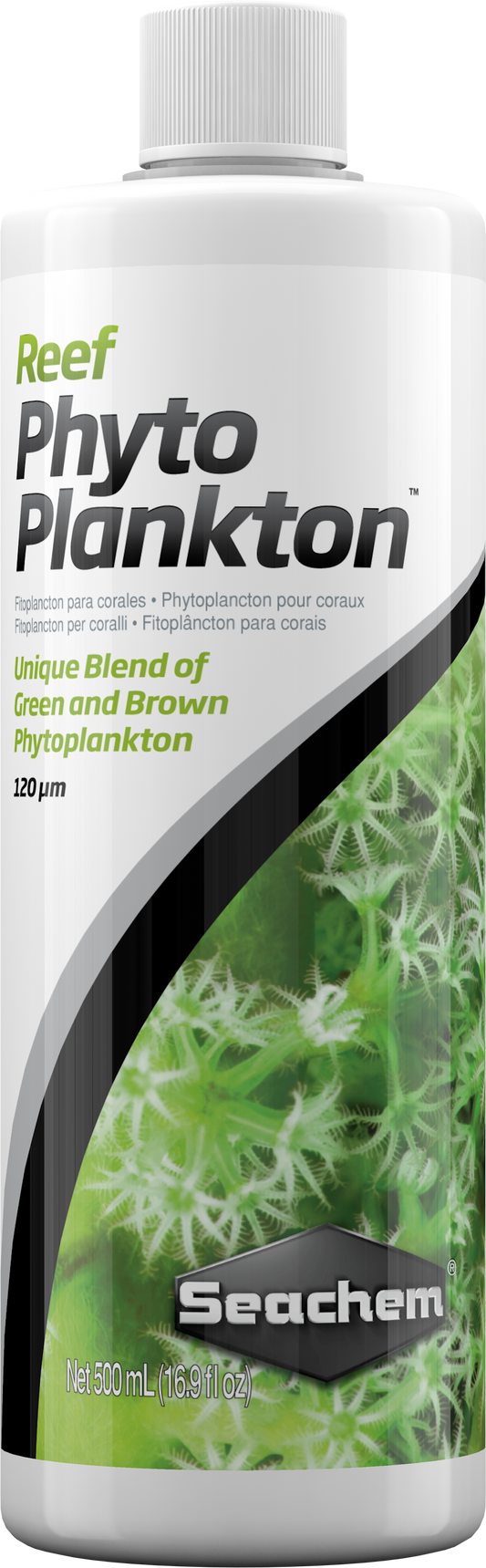 Reef Phytoplankton