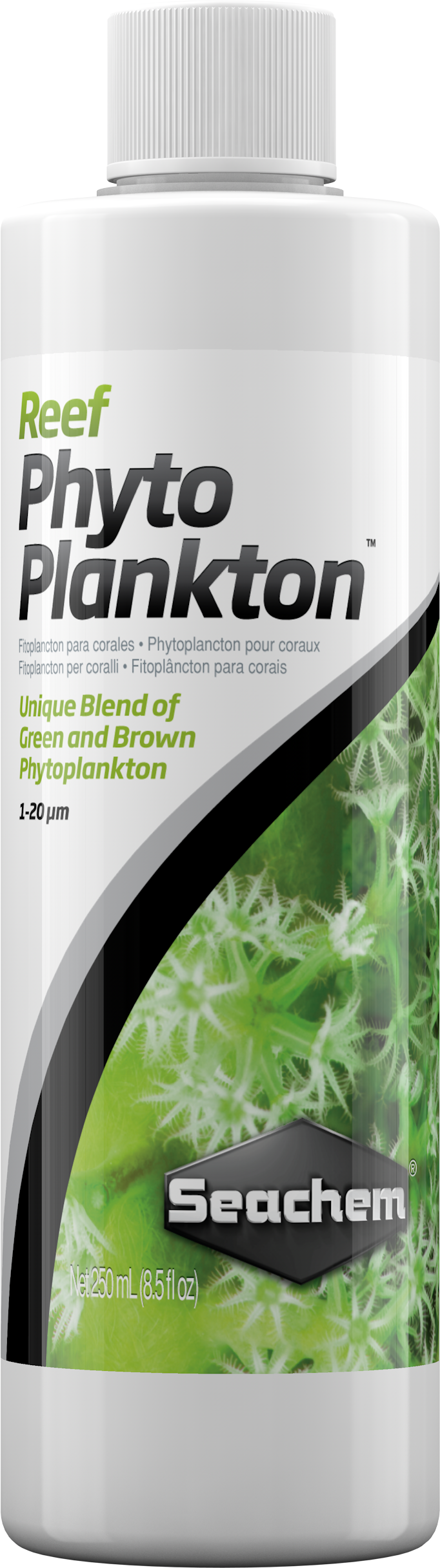 Reef Phytoplankton