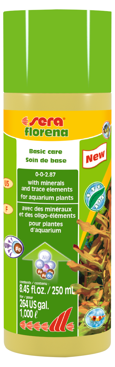 sera florena