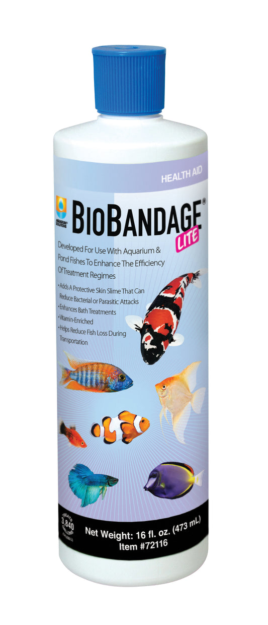 BioBandage