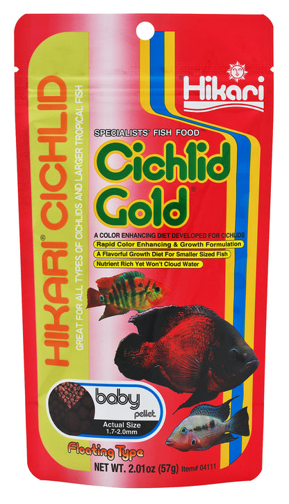 cichlid gold