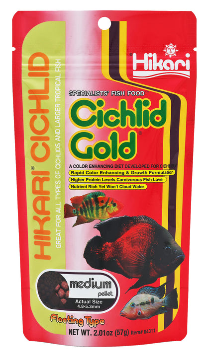 cichlid gold