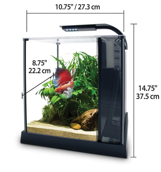 Betta Premium Aquarium Kit, 2.6 US Gal / 10 L