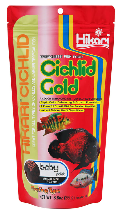 cichlid gold