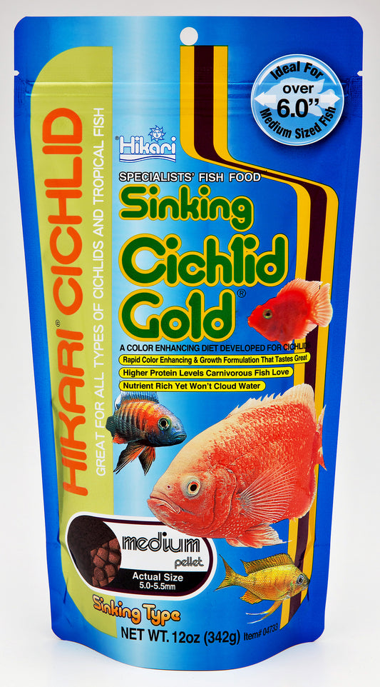 cichlid gold